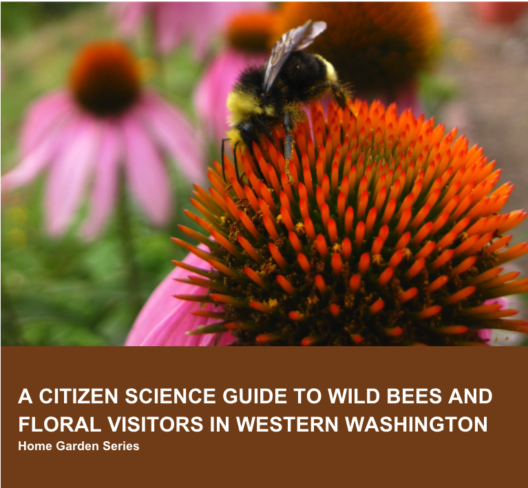 cover page for guide to wild bees and floral visitors 